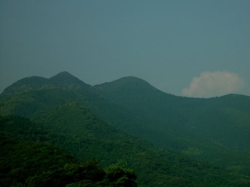 山